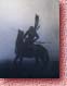 backcover.jpeg